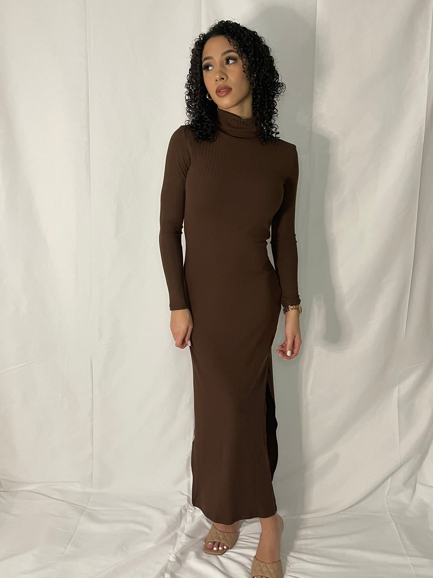 Turtle Neck Maxi Dress