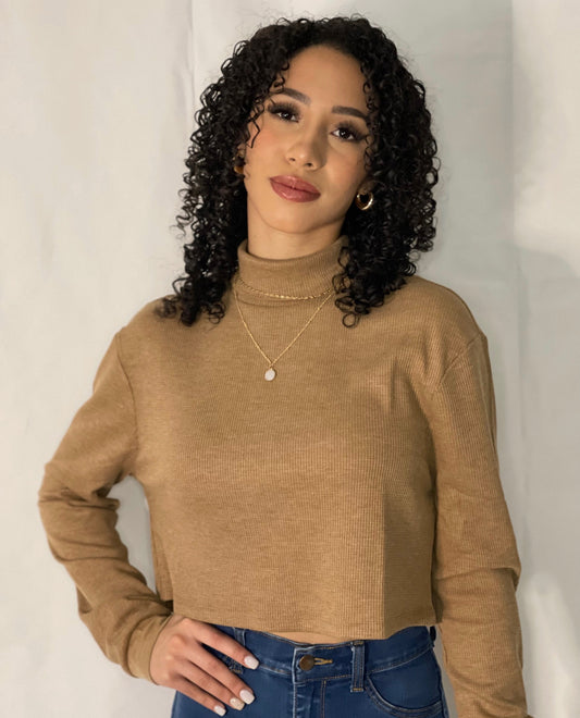 Turtle Neck Crop Top